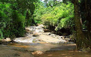 <span class="mw-page-title-main">Doi Suthep–Pui National Park</span>