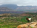 Ethiopian Highlands