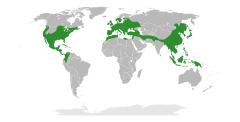 Distribuição natural da família Fagaceae.