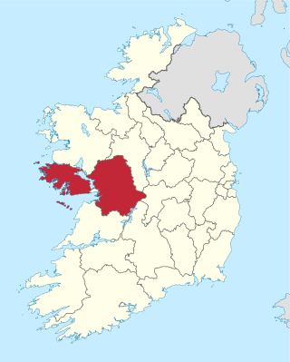 <span class="mw-page-title-main">2014 Galway County Council election</span> Part of the 2014 Irish local elections