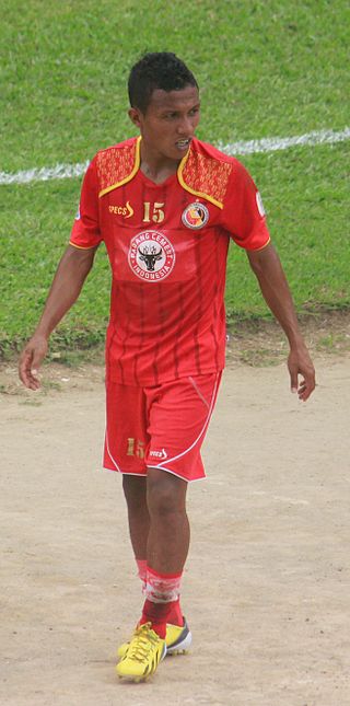 <span class="mw-page-title-main">Hendra Bayauw</span> Indonesian professional footballer