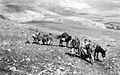 Yiftach Brigade bringing supplies to Kibbutz Manara. 1948