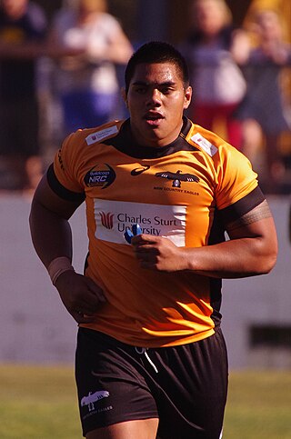 <span class="mw-page-title-main">Michael Alaalatoa</span> Professional rugby union player