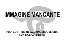 Immagine di Unquillosaurus ceibalii mancante