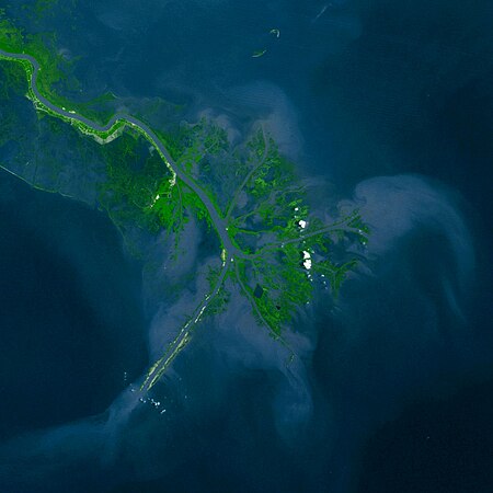 Plumes of sediment enter the ocean from several mouths of the Mississippi River bird's-foot delta. This sediment is responsible for building the delta and allowing it to advance into the sea. As it extends further offshore, the channel slope will decrease and its bed will aggrade, promoting an avulsion. Mississippi Delta 1976.jpg