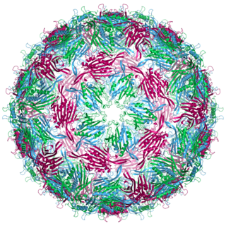 <span class="mw-page-title-main">Bacteriophage MS2</span> Species of virus