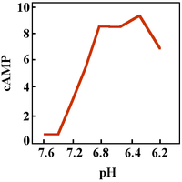 Production of cAMP in response to activation of TDAG8 G protein-coupled receptor by low pH. Data from Wang et al., "TDAG8 is a proton-sensing and psychosine-sensitive G-protein-coupled receptor". PHcAMP.png