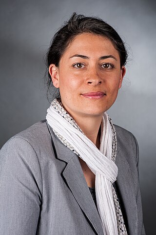 <span class="mw-page-title-main">Filiz Polat</span> German politician (born 1978)