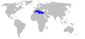 Phạm vi phân bố Posidonia oceanica