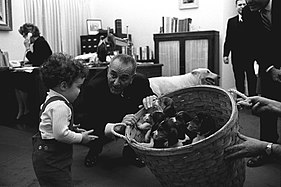 Le président Lyndon B. Johnson avec un panier de chiots en 1966