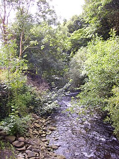 River Rhondda