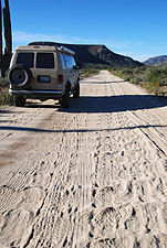 Fine-grained soil particles on a sandy road in Baja California