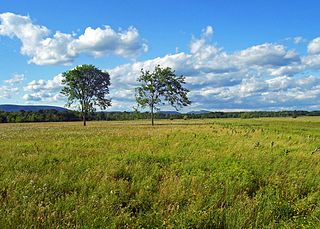 Shawangunk Grasslands National Wildlife Refuge Protected area in Ulster County, New York