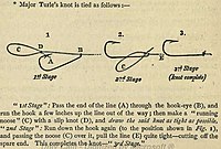 Черепаший узел[англ.][23], Узел Турле[7]:114, Turle knot, Major Turle's Knot. Вариант узла для смещённого прикрепления под углом к крюкам и отверстиям[7].