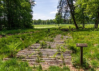 <span class="mw-page-title-main">Wittemoor timber trackway</span>