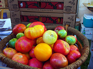 Heirloom tomato Tomato cultivar