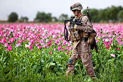 Defense.gov News Photo 110409-M-5160M-264 - U.S. Marine Corps Cpl. Mark Hickok patrols through a field during a clearing mission in Marja in Afghanistan s Helmand province on April 9 2011