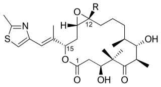 <span class="mw-page-title-main">Epothilone</span> Class of chemical compounds