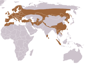 Description de l'image European Otter area.png.