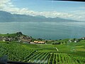 Lavaux mill-ferrovija li tmur minn Lausanne sa Palézieux u Bern.