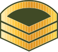 Maldives-Army-OR-6.svg