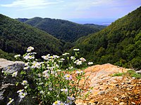 Kozara National Park NP002 - 14.jpg