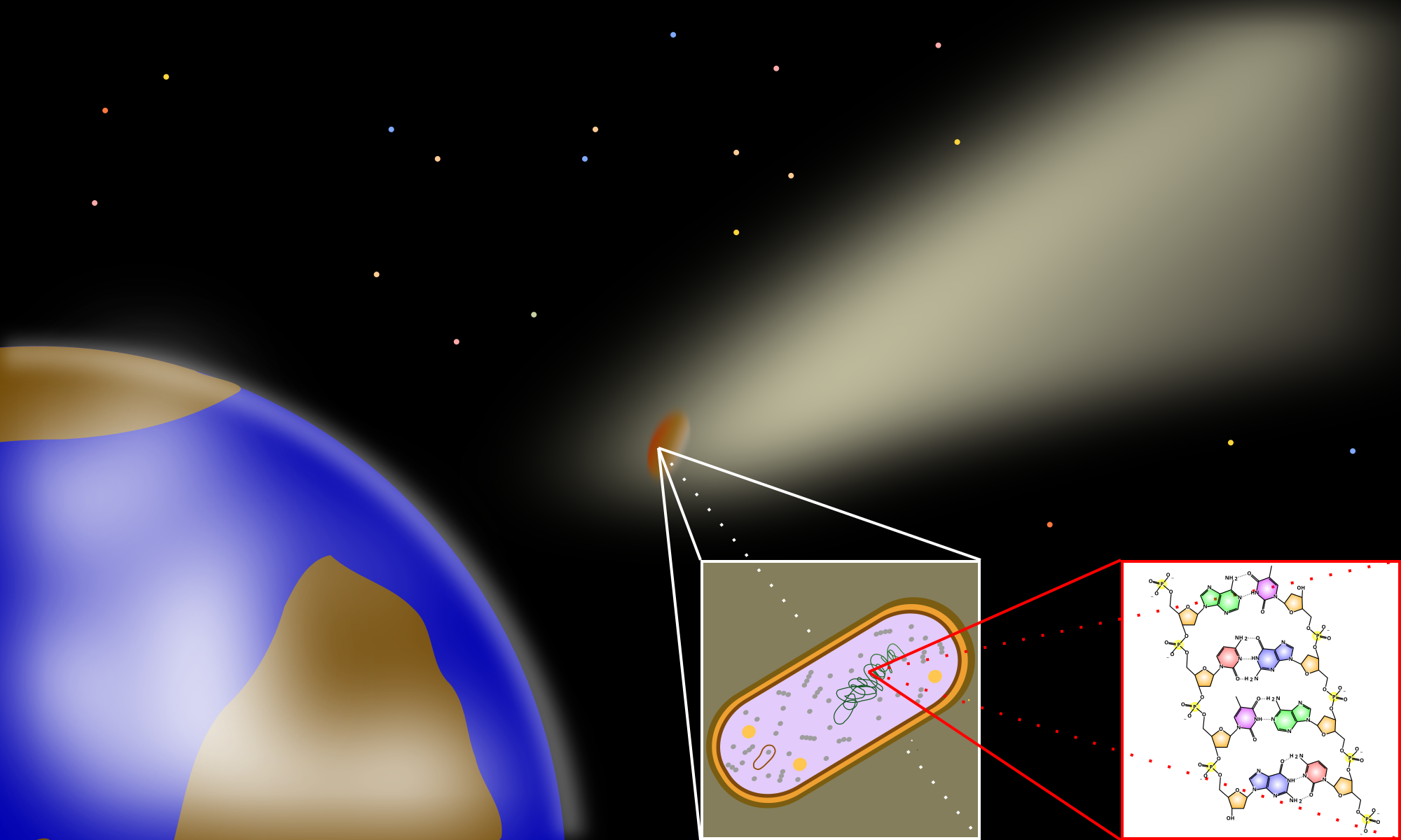 Panspermia Wikipedia