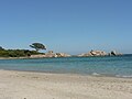 Palombaggia rairayin bakin teku a Corsica.