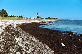 Плажа во Померби