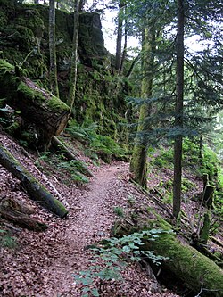 Der Schluchtensteig im Wehratal