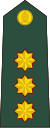 Sri Lanka-army-OF-2.svg