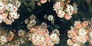 Roze bloemen, 1900