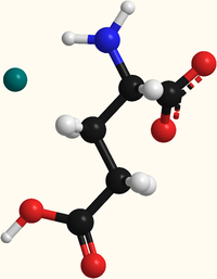 Structure of monosodium glutamate