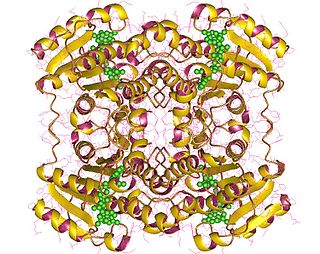 <span class="mw-page-title-main">L-xylulose reductase</span> Enzyme