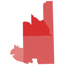 County results:
Gowan--50-59%
Gowan--60-69%
Gowan--70-79% 2024 LD19 Senate.svg