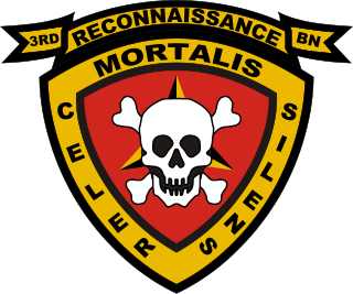 <span class="mw-page-title-main">3rd Reconnaissance Battalion (United States)</span> Military unit