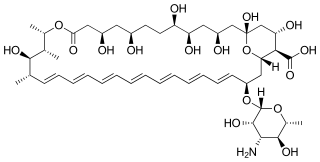 <span class="mw-page-title-main">Amphotericin B</span> Antifungal and antiparasitaric chemical compound