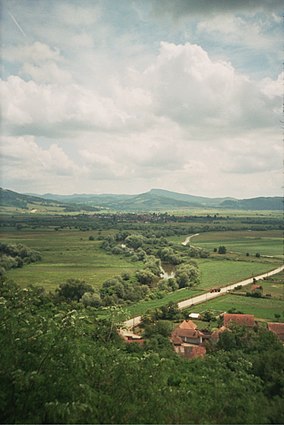 Hârtibaciul de Sud - Est la Comăna de Jos