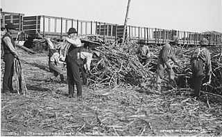 <span class="mw-page-title-main">Thibodaux massacre</span> Event of racial violence in the late 19th Century Southern United States