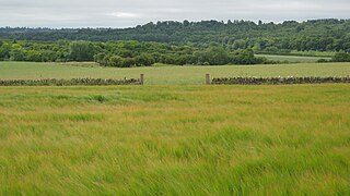 <span class="mw-page-title-main">Reed Hill, Oxfordshire</span>