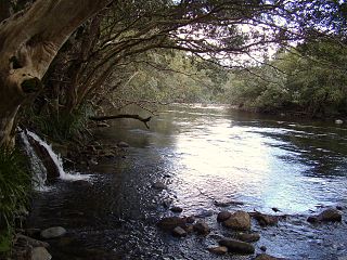 <span class="mw-page-title-main">Mulgrave River</span> River in Queensland, Australia