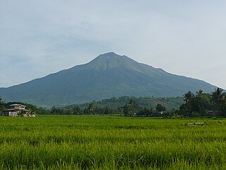 <span class="mw-page-title-main">Kanlaon</span> Active volcano in the Philippines