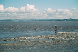 <span class="mw-page-title-main">Severn Estuary</span> Estuary and Site of Special Scientific Interest in Great Britain