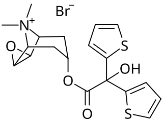 <span class="mw-page-title-main">Tiotropium bromide</span> Long-acting bronchodilator in the maintenance of COPD and asthma