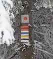 Signs for tourist horse-, ski-, and hiking-trails (from the top) in the Sudetes, Poland