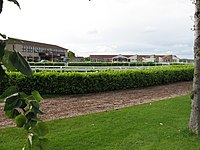 Wincanton racecourse.jpg