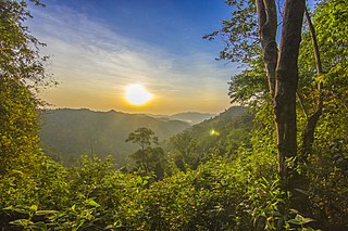 <span class="mw-page-title-main">Tenasserim–South Thailand semi-evergreen rain forests</span> Ecoregion on Mainland Southeast Asia