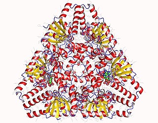 <span class="mw-page-title-main">3-Hydroxybutyryl-CoA dehydrogenase</span> Class of enzymes