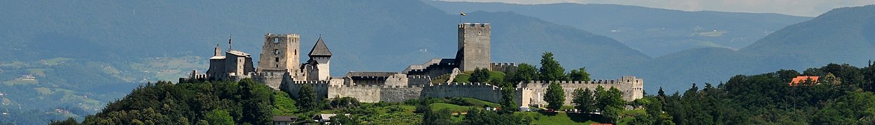 panorama van Celje