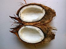 A split coconut Cocos nucifera00.jpg